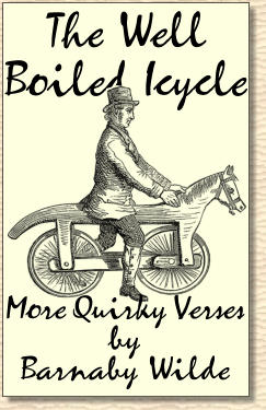 The Well  Boiled Icycle More Quirky Verses  by  Barnaby Wilde